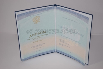 Диплом Техникума 2023г СпецБланк в Кемерово