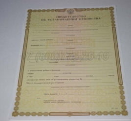 Свидетельство об Установлении Отцовства 2019г в Кемерово