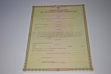 Свидетельство об Установлении Отцовства 2019г в Кемерово