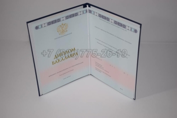 Диплом Бакалавра 2024г ГОЗНАК в Кемерово