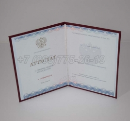 Аттестат За 11 Класс 2021г Золото ГОЗНАК в Кемерово