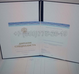 Диплом о Высшем Образовании 2022г СпецБланк в Кемерово