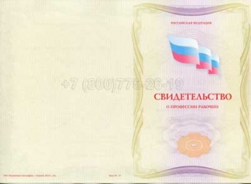 Свидетельство о Профессии Рабочего "Авиационный механик (техник) по планеру и двигателям" в Кемерово
