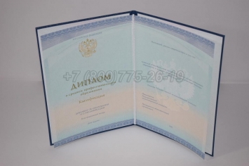 Диплом Техникума 2018г СпецБланк в Кемерово