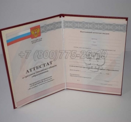 Аттестат За 11 Класс 2010г Серебро в Кемерово